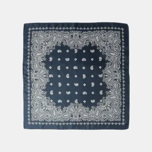 Paisley Silk Scarf