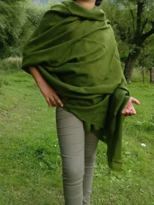 Pashmina Shawl in Olive Green